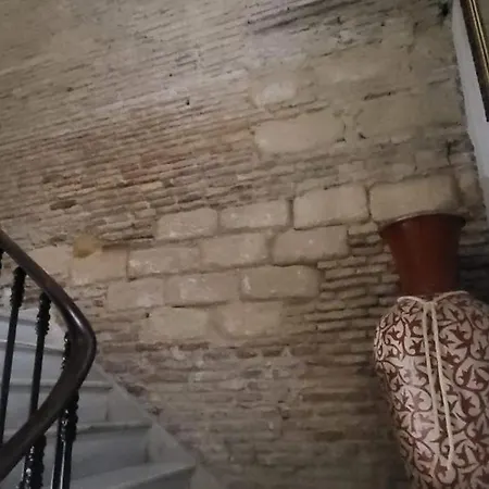 Maison d'hôtes Fenix Jerez de la Frontera